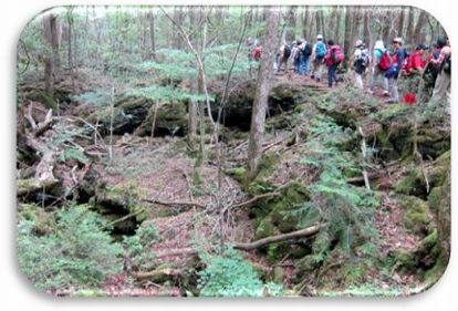 �؃������C�̗V����(3)